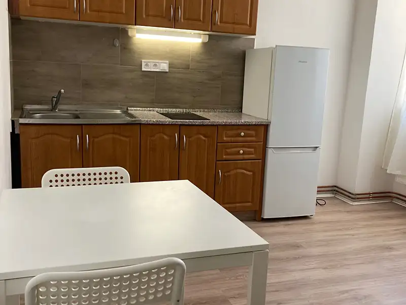 Pronájem bytu 1+kk 25 m², Olomouc – náhled fotky 1