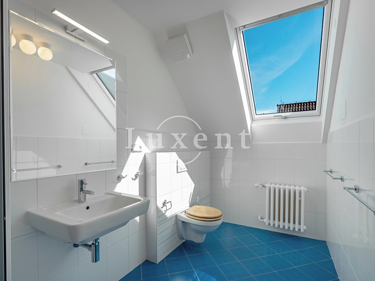 Pronájem domu, 417 m² (21 z 38)