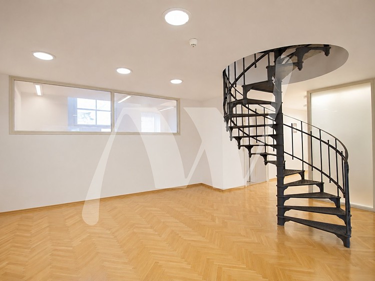 Pronájem komerčního prostoru, 466 m² (3 z 15)