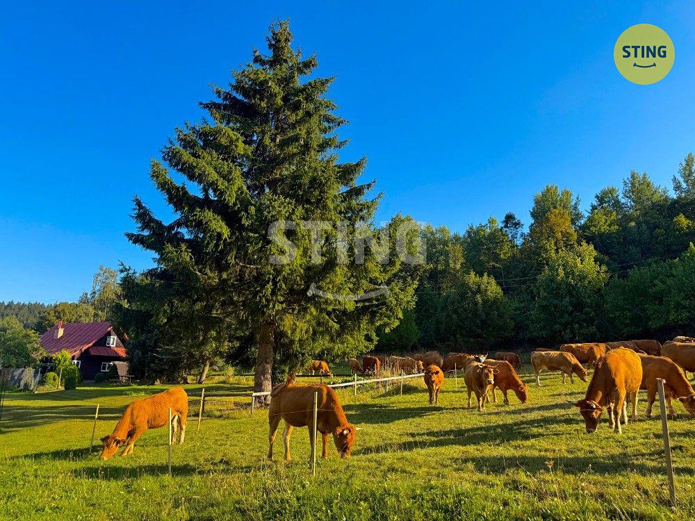 Prodej chalupy 160 m², pozemek 682 m² – fotografie 3
