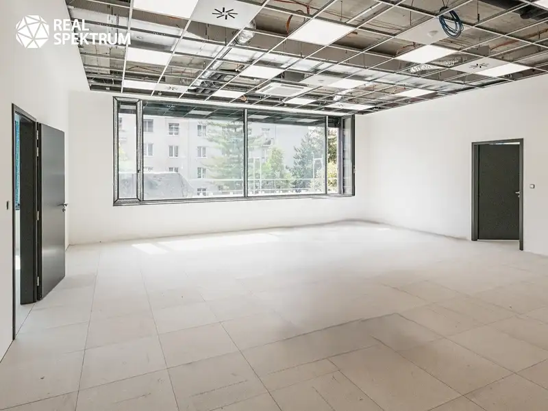 Pronájem kanceláře 250 m², Brno – náhled fotky 3