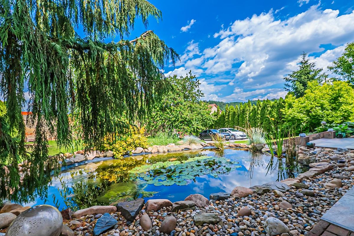 Prodej rodinného domu 370 m², pozemek 1856 m² – fotografie 2