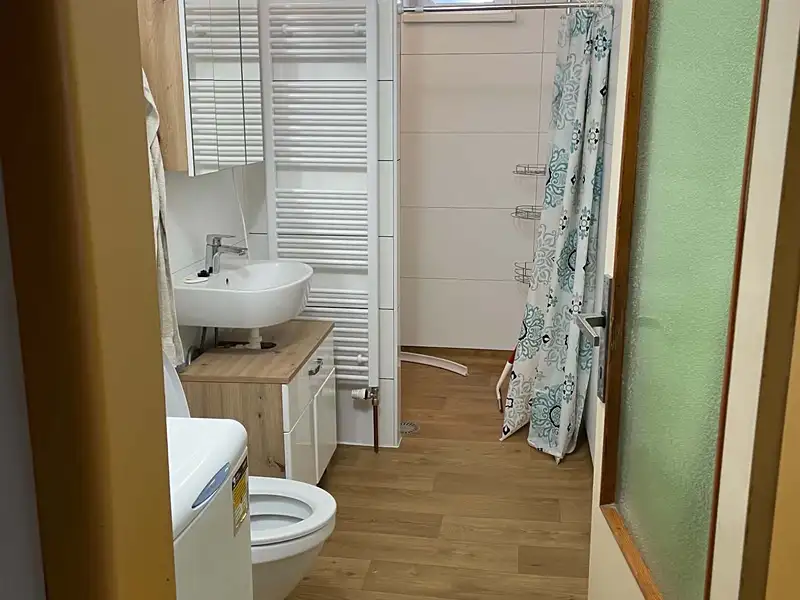 Pronájem rodinného domu 100 m², pozemek 1000 m², Medlovice – náhled fotky 3