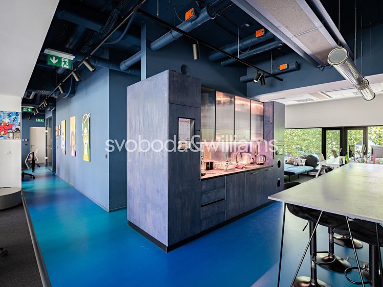 Pronájem komerčního prostoru, 341 m² (8 z 14)
