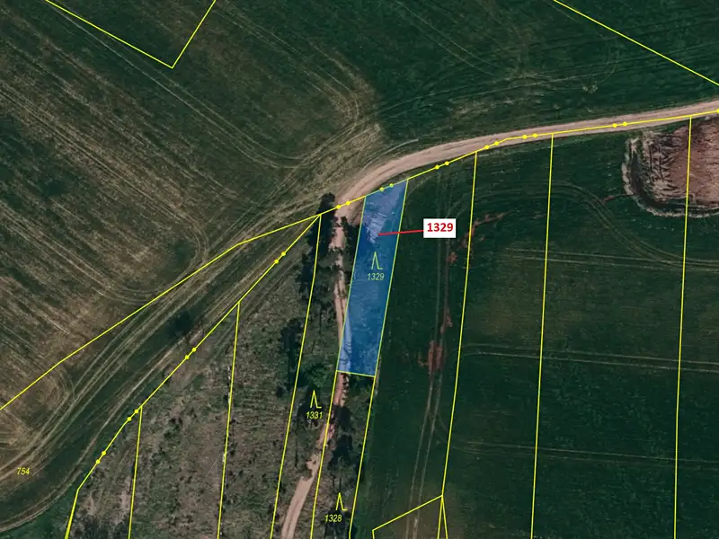Dražba lesa 381 m², Vladislav – náhled fotky 2