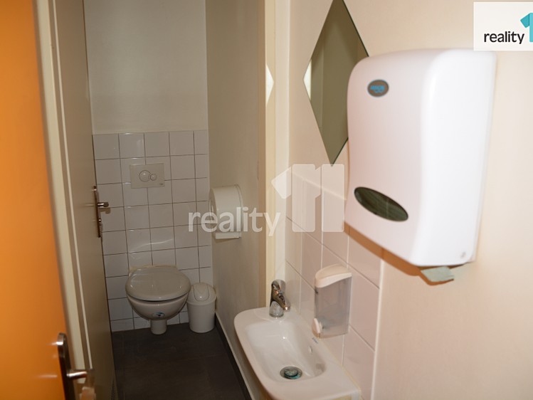 Pronájem komerčního prostoru, 34 m² (13 z 14)