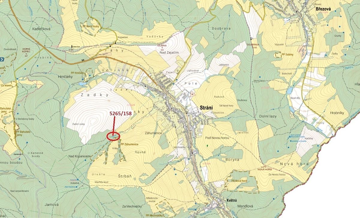 Dražba lesa 1065 m², Strání – fotka 1 z 3