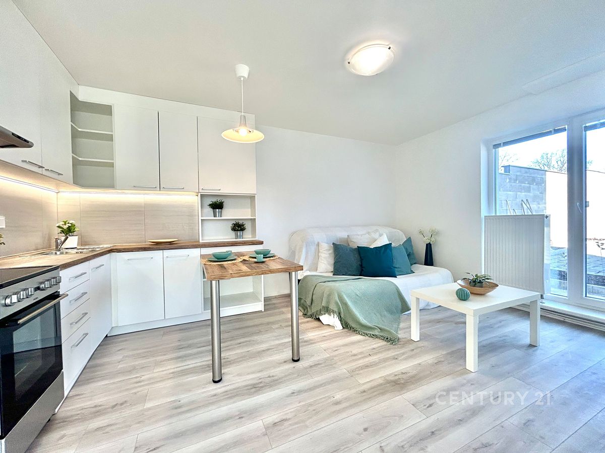 Pronájem bytu 3+kk 48 m²