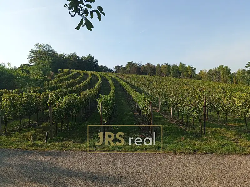 Prodej sadu, vinice 3399 m², Mutěnice – náhled fotky 1