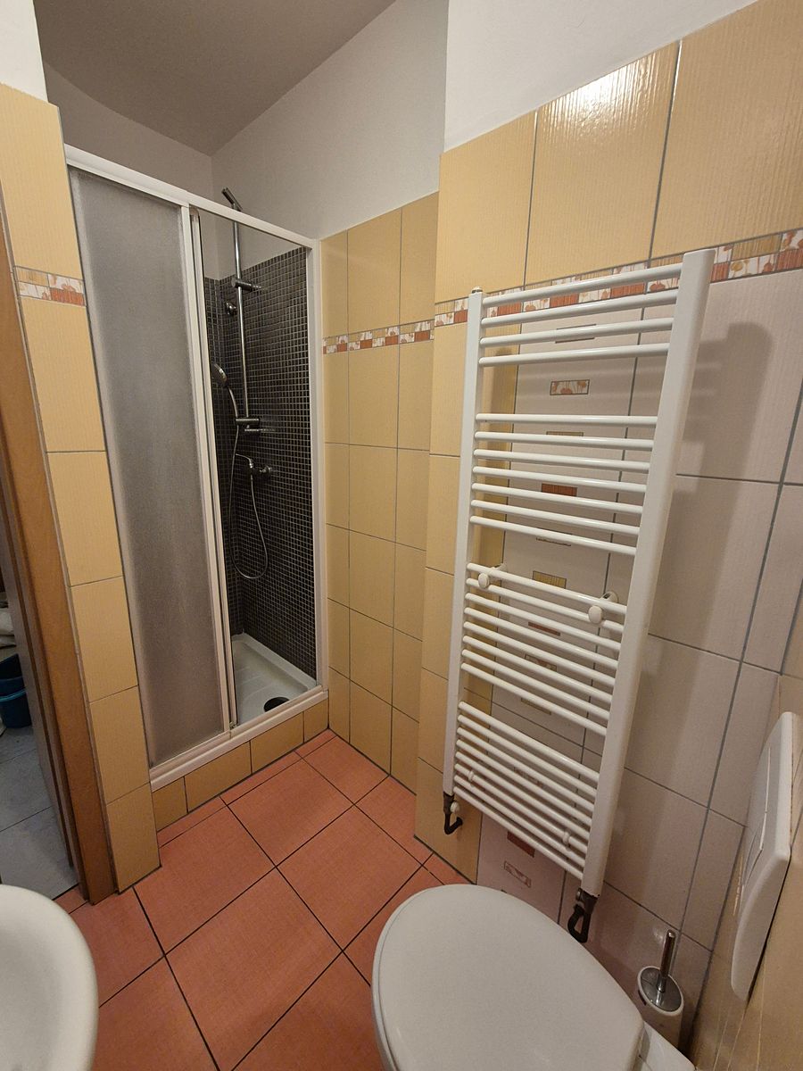 Pronájem bytu 1+kk 33 m² – fotografie 4
