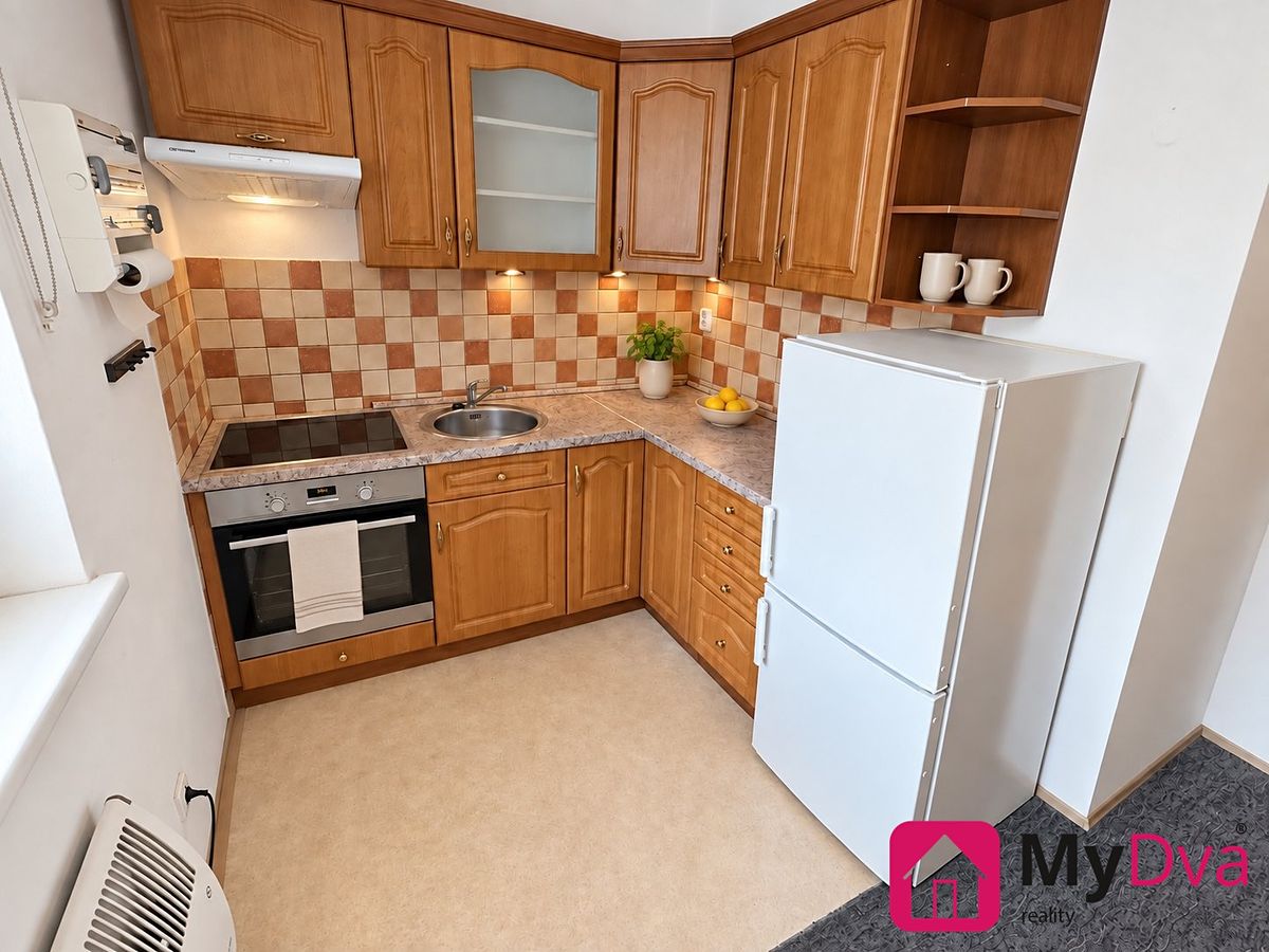 Pronájem bytu 1+1 40 m² – fotografie 5