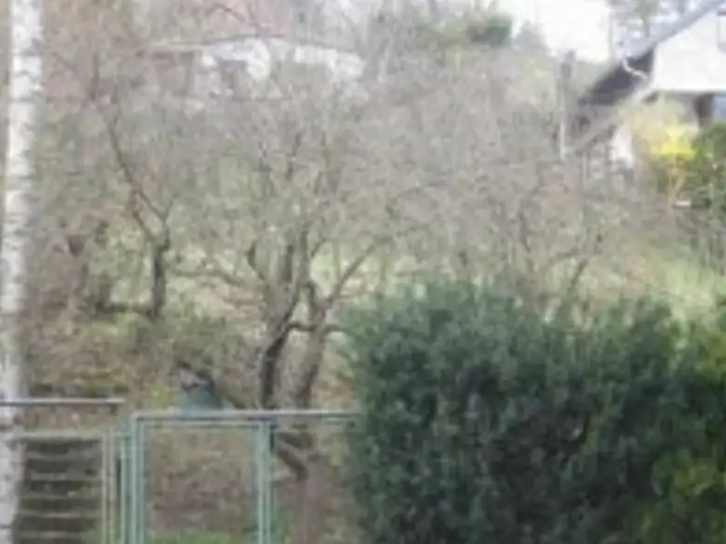 Dražba chaty 64 m², pozemek 882 m², Brno – náhled fotky 3