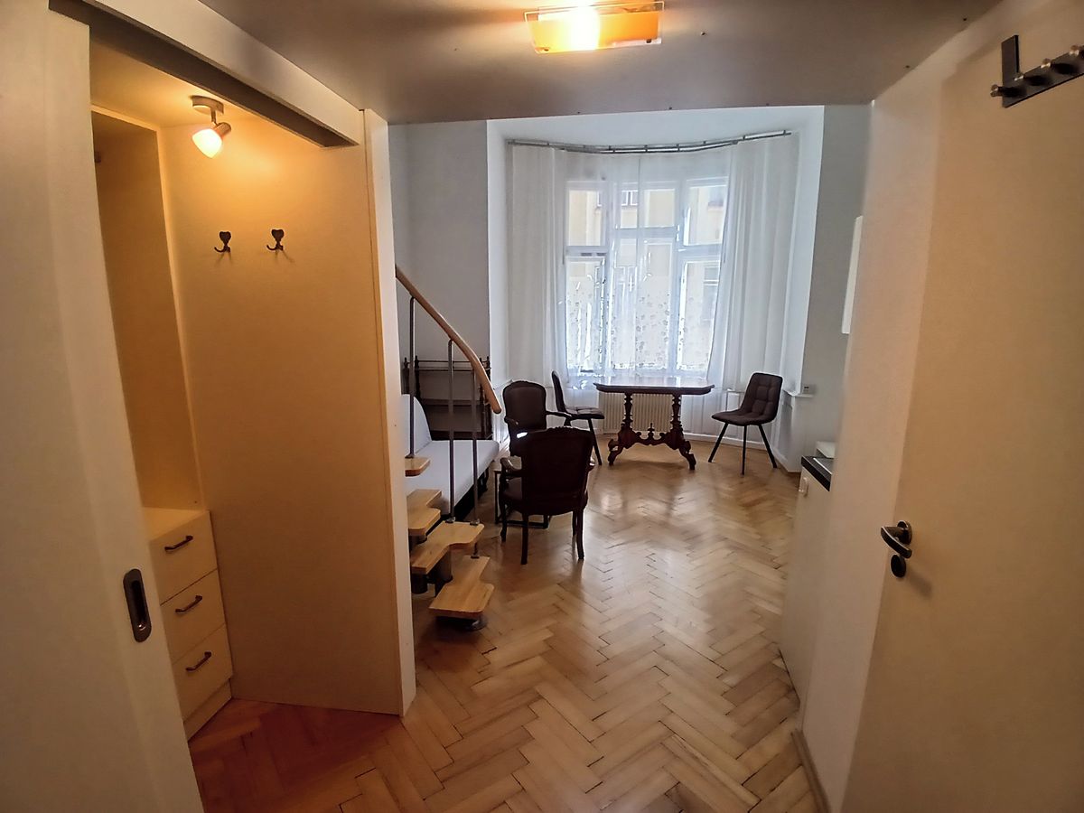 Pronájem bytu 1+kk 30 m² – fotografie 4