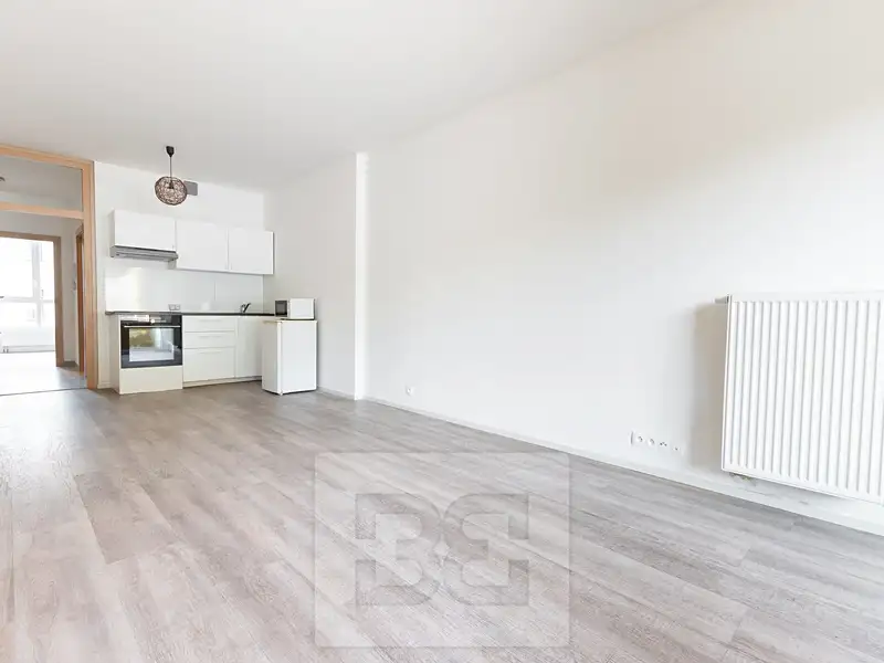 Pronájem bytu 2+kk 48 m², Praha – náhled fotky 1