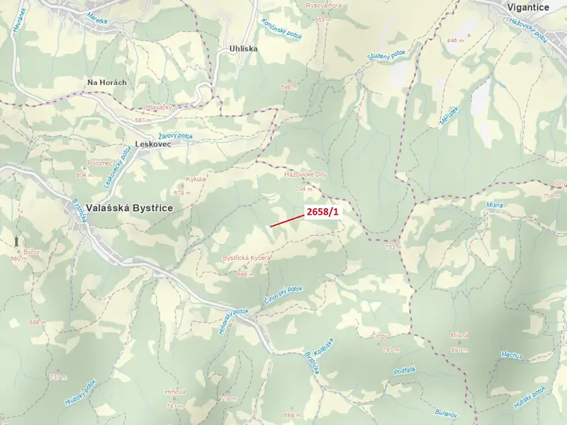 Dražba louky 749 m², Valašská Bystřice – náhled fotky 1