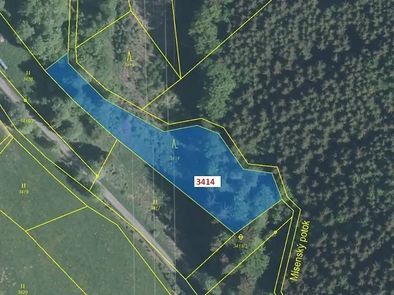 Dražba lesa 2122 m², Zděchov – náhled fotky 2