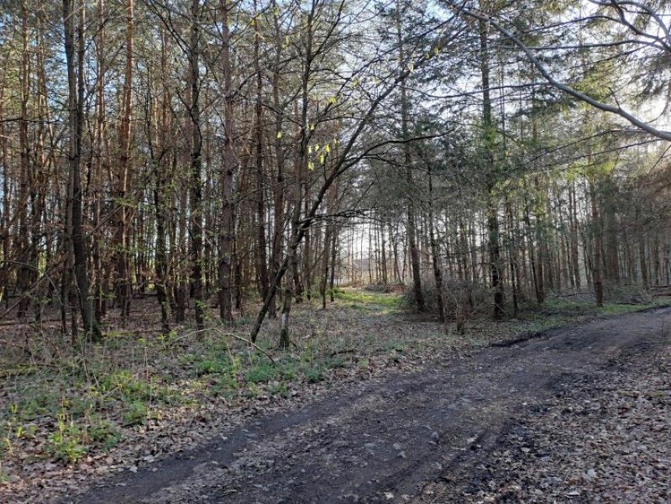 Grundstück zum Kauf, 3.017 m² (6 von 12)