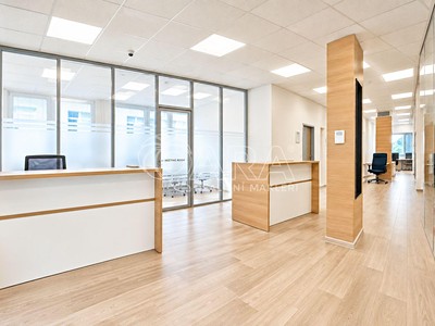 Pronájem komerčního prostoru, 650 m² (2 z 12)