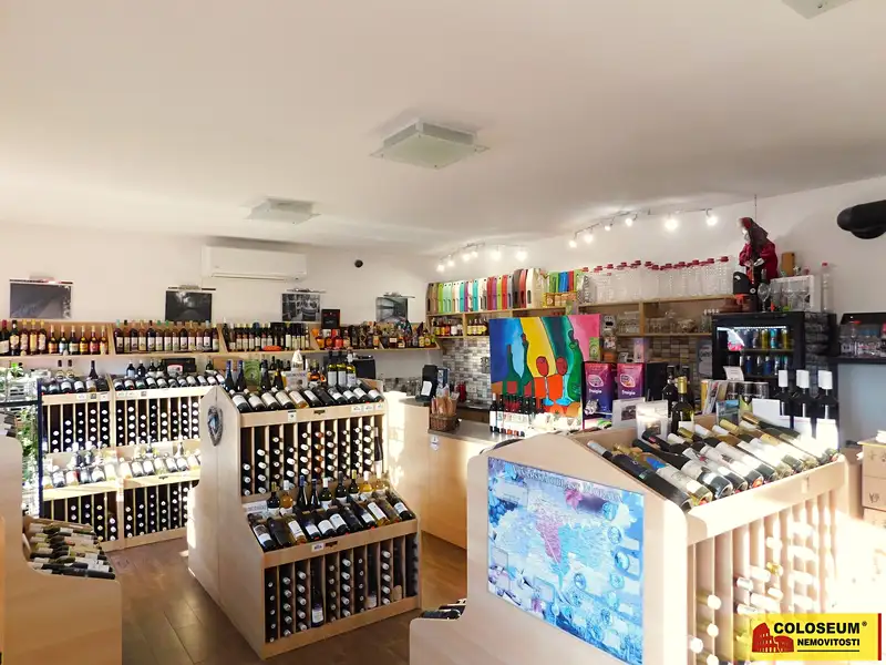 Prodej obchodního prostoru 140 m², Znojmo – náhled fotky 2