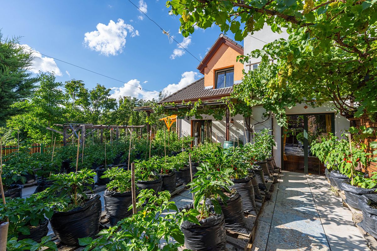 Prodej rodinného domu 153 m², pozemek 336 m² – fotografie 5