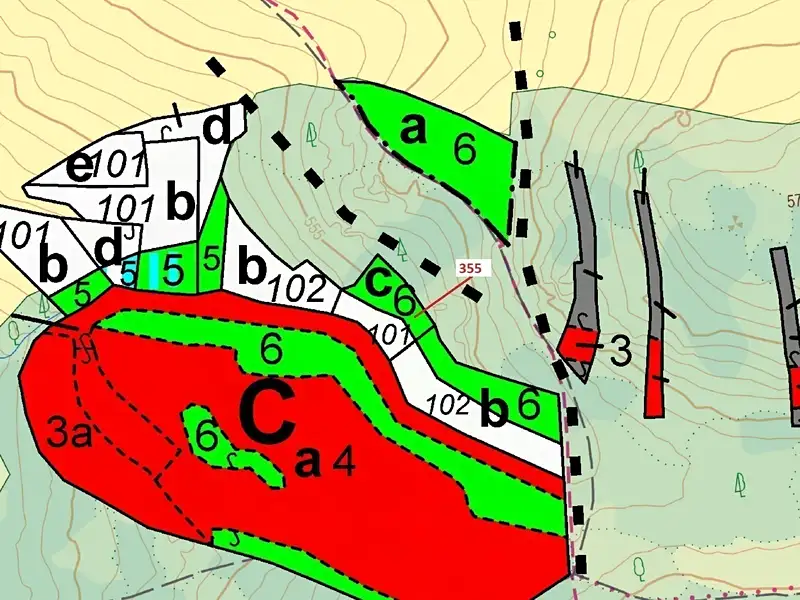 Dražba lesa 1924 m², Jesenice – náhled fotky 3