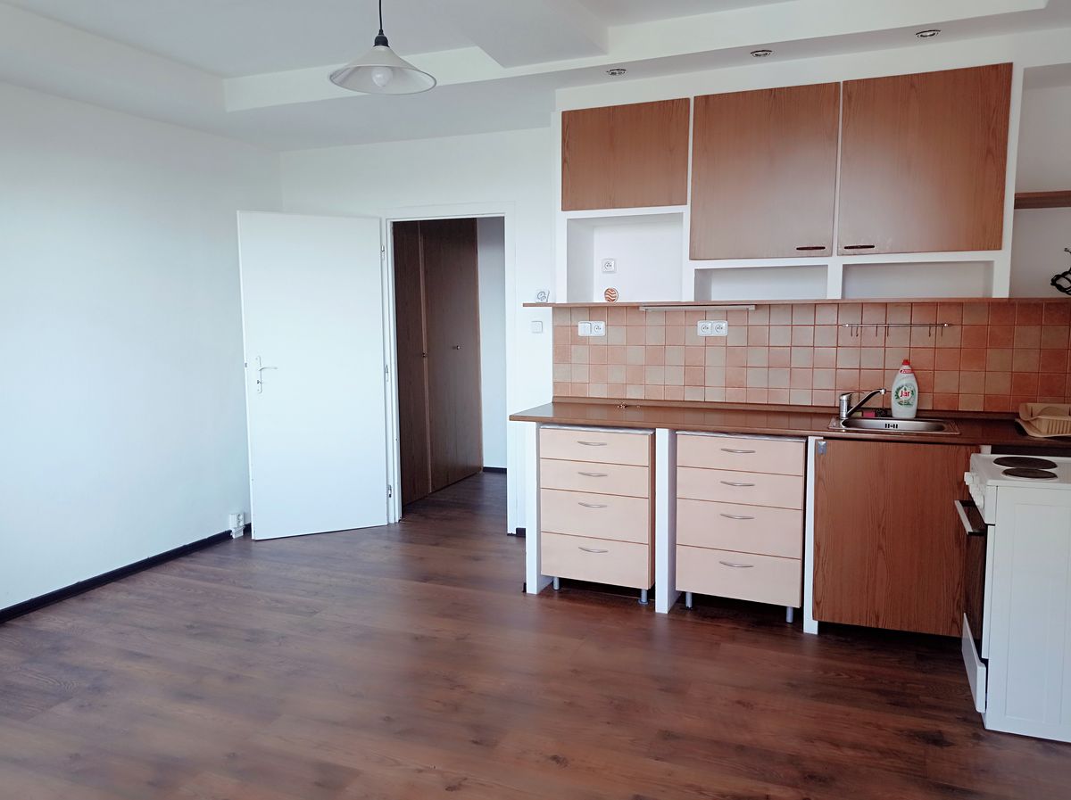 Pronájem bytu 1+kk 30 m² – fotografie 5