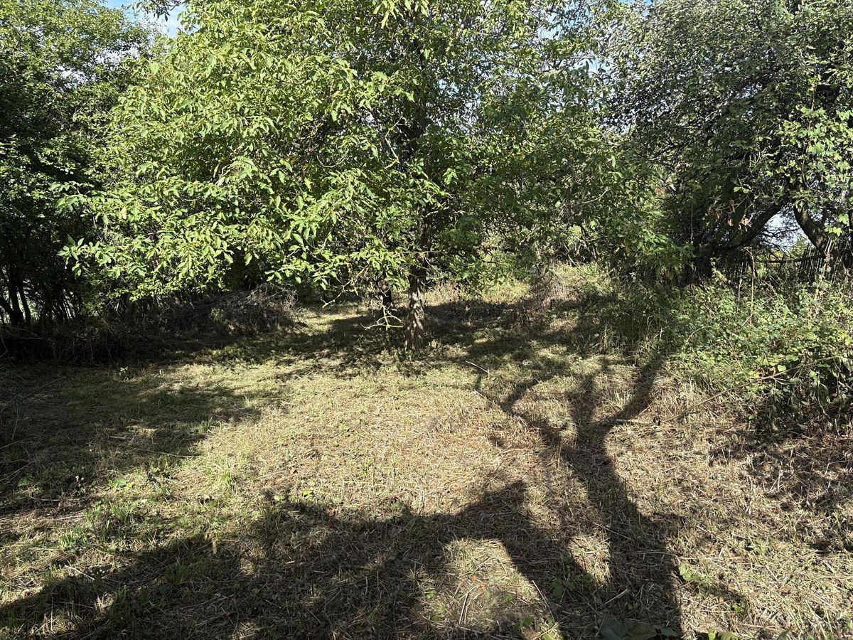 Prodej zahrady 2317 m² – fotografie 4