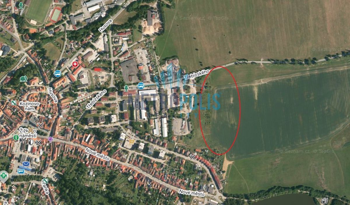 Prodej pole 3931 m²