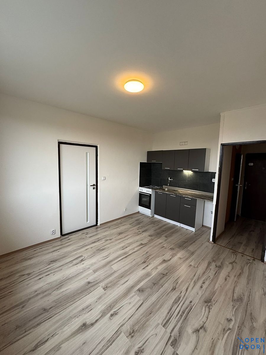 Pronájem bytu 1+1 35 m² – fotografie 3