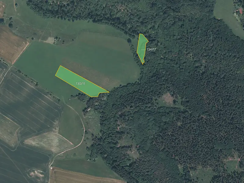 Prodej pole 13082 m², Drhovy – náhled fotky 1
