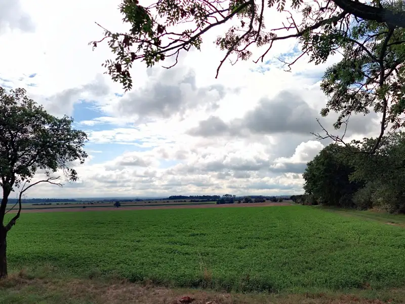Prodej pole 3302 m², Onomyšl – náhled fotky 2