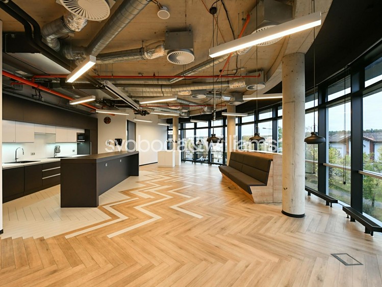 Pronájem komerčního prostoru, 1 990 m² (7 z 15)