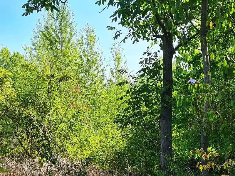 Dražba komerčního pozemku 4178 m², Brno – náhled fotky 1