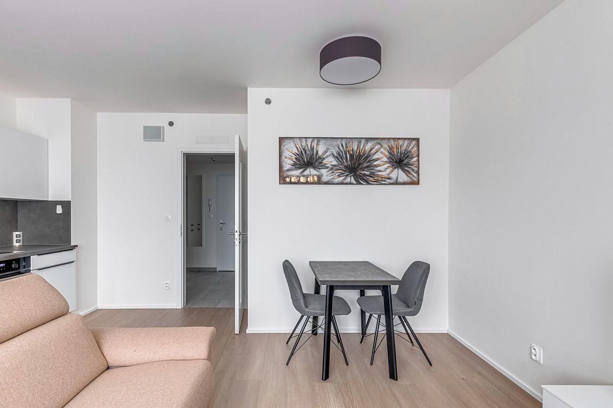 Pronájem bytu 1+kk 35 m² – fotografie 5