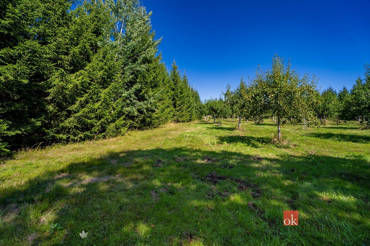 Prodej stavebního pozemku 12049 m² – fotografie 2
