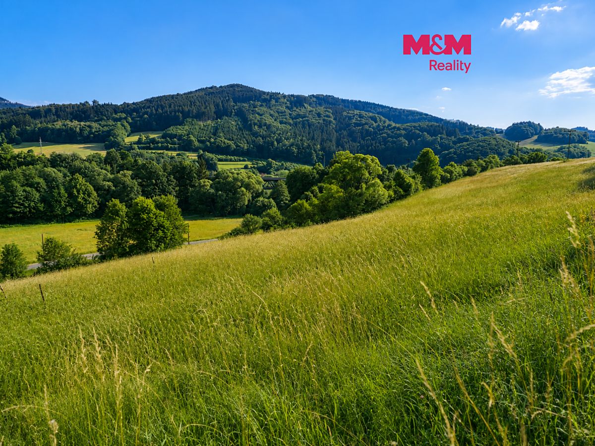 Prodej louky 4215 m²