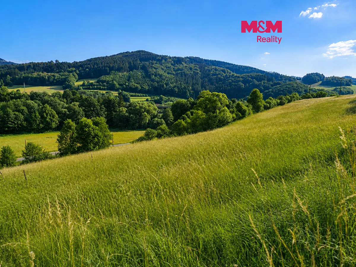 Prodej louky 4215 m²