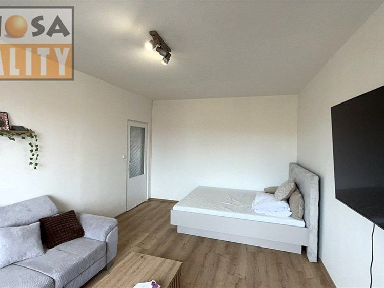 Wohnung 1+1 zur Miete, 45 m² (4 von 20)