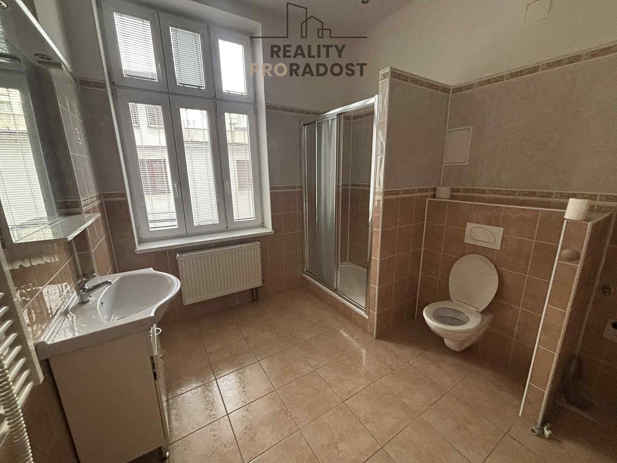 Pronájem bytu 1+kk 46 m² – fotografie 5