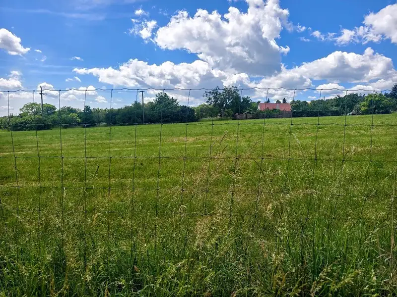 Prodej stavebního pozemku 867 m², Radslavice – náhled fotky 1