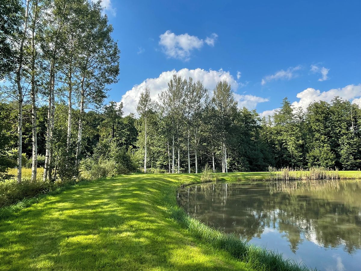 Prodej stavebního pozemku 9437 m² – fotografie 2