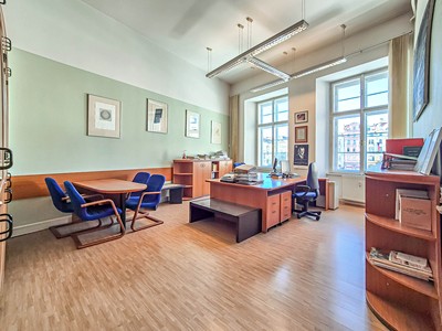 Pronájem komerčního prostoru, 175 m² (2 z 16)