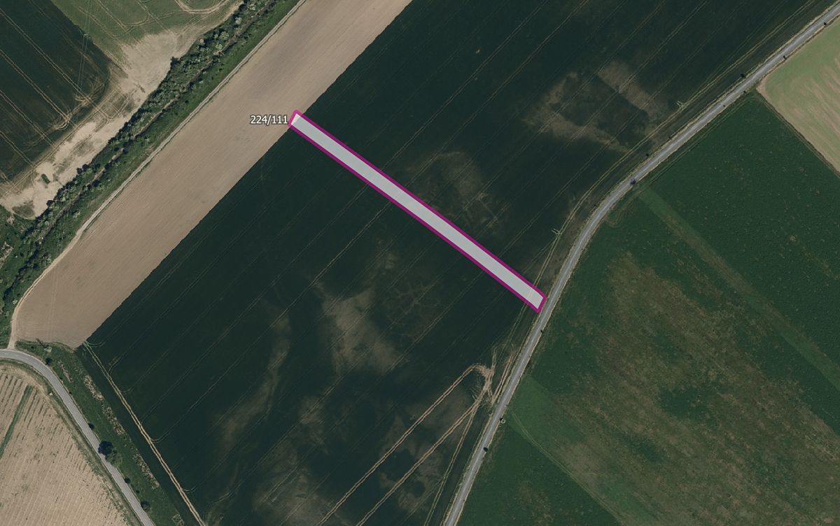 Prodej pole 5446 m² – fotografie 2