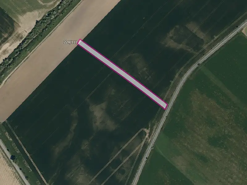 Prodej pole 5446 m², Skoronice – náhled fotky 2