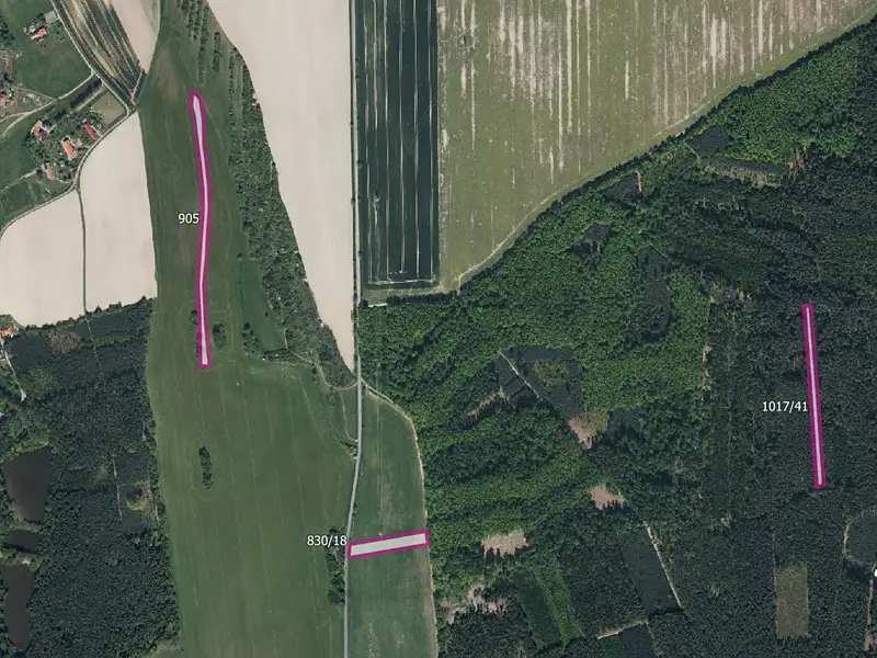 Prodej louky 19893 m², Zaječice – náhled fotky 2