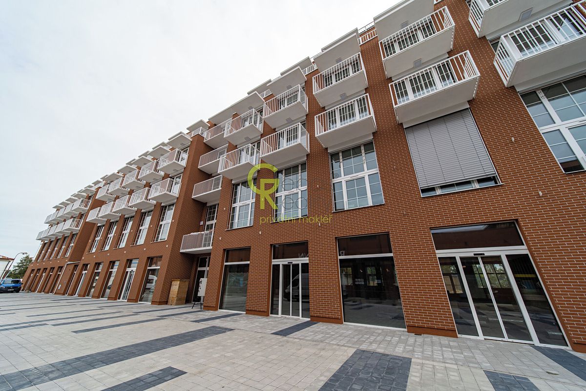 Pronájem bytu 1+kk 40 m²