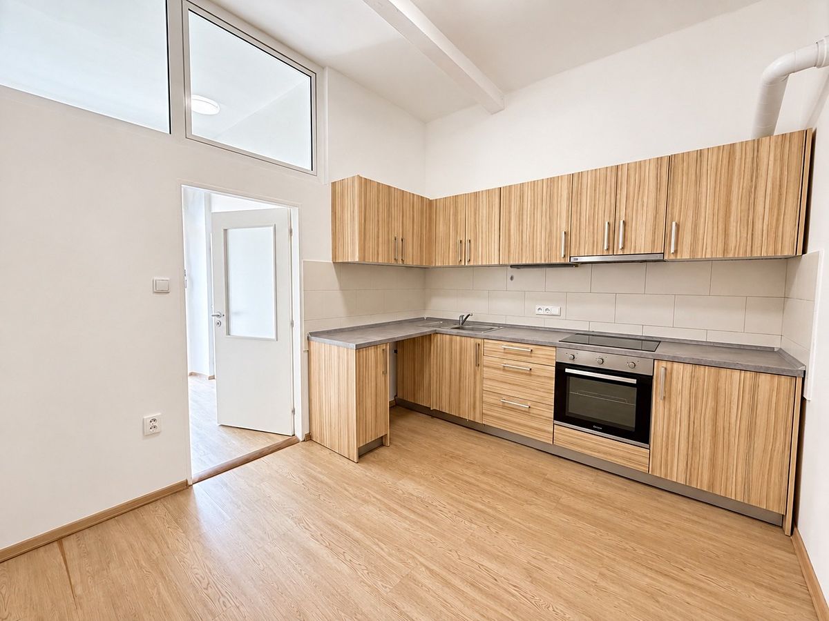Pronájem bytu 1+1 45 m² – fotografie 5