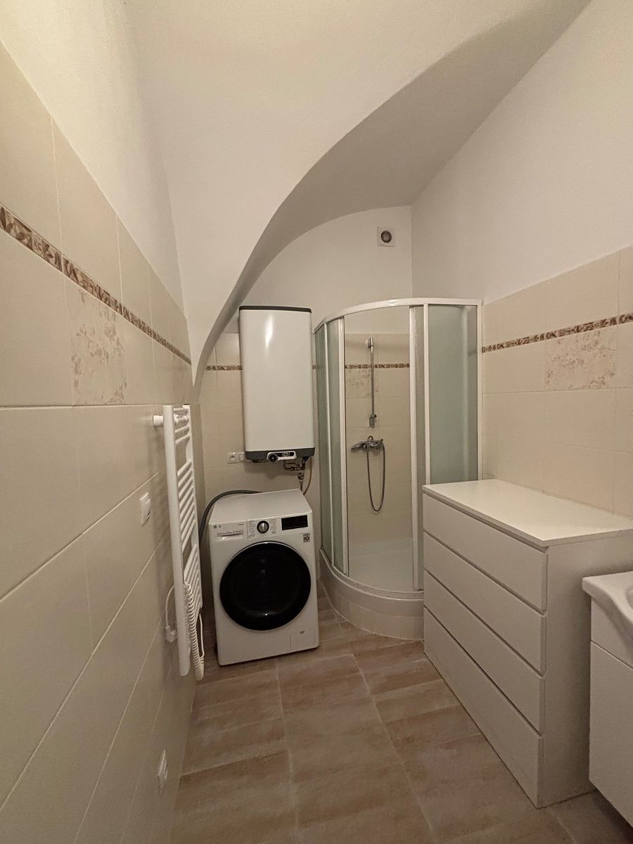 Pronájem bytu 1+1 45 m² – fotografie 5