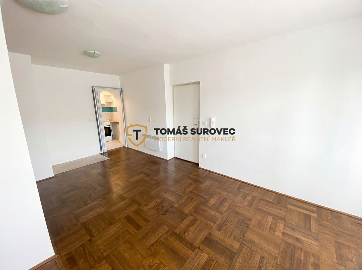 Pronájem bytu 1+kk 38 m² – fotografie 3