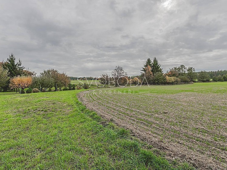 Grundstück zum Kauf, 1.006 m² (9 von 14)